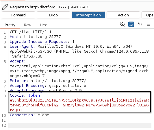 burpsuite screenshot